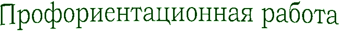 Профориентационная работа