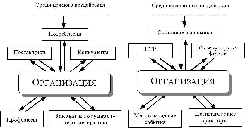 wpe1A.jpg (45291 bytes)